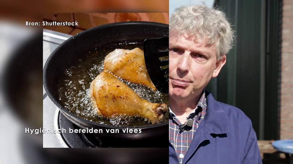 GEZONDE VLEESKUIKENS – Campylobacter de baas – belang van het weren van vliegen