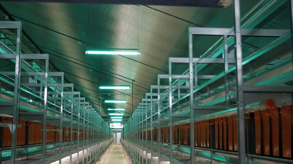 De familie koos voor Multicolour LED verlichting. „We beginnen met warm wit licht maar kunnen dankzij Multicolour LED verlichting overschakelen naar bijvoorbeeld rood, groen of blauw licht als er pikkerij optreedt tijdens de ronde”, zegt Harm Atzema.