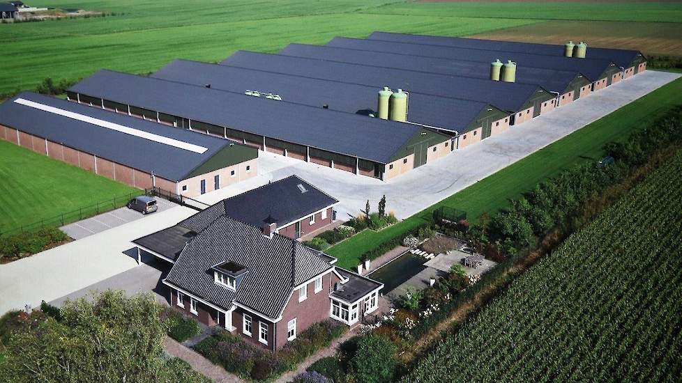 Na jarenlange procedures kon de bouw in 2012 eindelijk starten. Familie Jacobs bouwde een nieuw opfokbedrijf aan de Hoef in Duizel. „Met de bouw van een nieuw bedrijf kun je de hygiëne technische maatregelen zo nemen als op dat moment gewenst en meest ide