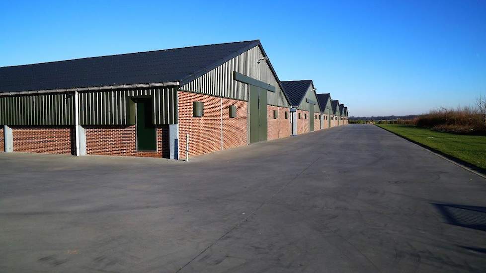 Vanuit de kantine stap je hier het erf op. Het verkeer voor zowel aan- als afvoer komt via dezelfde poort. Het kuikens lossen, kippen laden, voer lossen en mest laden gebeurt allemaal voor de stallen. Regelmatig blaast Jacobs met een bladblazer daar het e