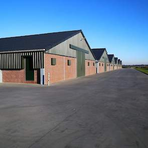 Vanuit de kantine stap je hier het erf op. Het verkeer voor zowel aan- als afvoer komt via dezelfde poort. Het kuikens lossen, kippen laden, voer lossen en mest laden gebeurt allemaal voor de stallen. Regelmatig blaast Jacobs met een bladblazer daar het e