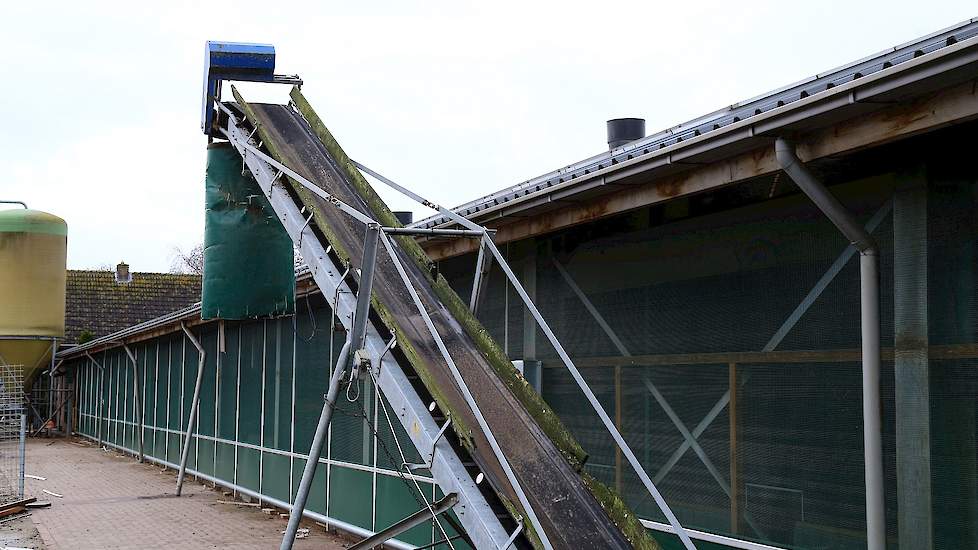 De mest van de mestbanden in de stal gaat De Vries twee keer per week in een kieper draaien.