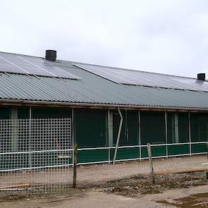 Op het dak van hun nieuwe stal liggen zonnepanelen waardoor ze 70 procent van hun stroombehoefte zelf op kunnen wekken.