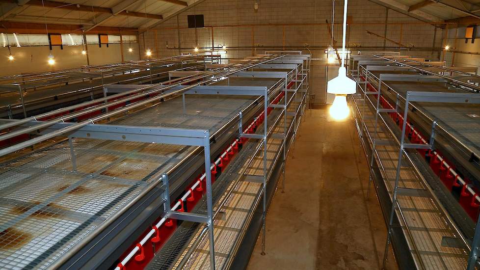 Maandag 6 maart arriveerden de eerste bruine biologische hennen in de nieuwe stal. Vanwege de dreiging van vogelgriep organiseerde de familie geen open dag. In slechts zes weken tijd maakte de familie hun stal schoon, sloopte de oude stalinrichting eruit