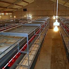 Maandag 6 maart arriveerden de eerste bruine biologische hennen in de nieuwe stal. Vanwege de dreiging van vogelgriep organiseerde de familie geen open dag. In slechts zes weken tijd maakte de familie hun stal schoon, sloopte de oude stalinrichting eruit