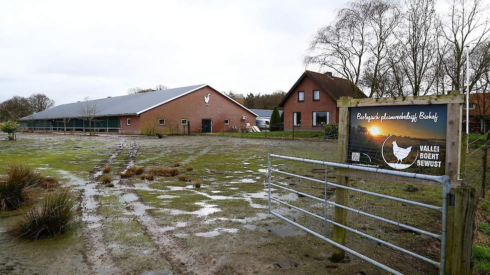 De buitenkant van de omgebouwde stal van 22,6 meter breed en 67 meter lang (buitenwerk). De voorste 5 meter van de stal is ingericht al eierlokaal.