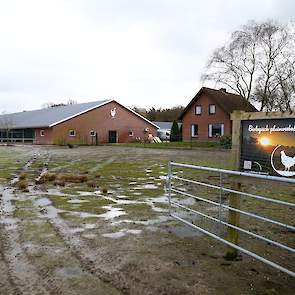 De buitenkant van de omgebouwde stal van 22,6 meter breed en 67 meter lang (buitenwerk). De voorste 5 meter van de stal is ingericht al eierlokaal.