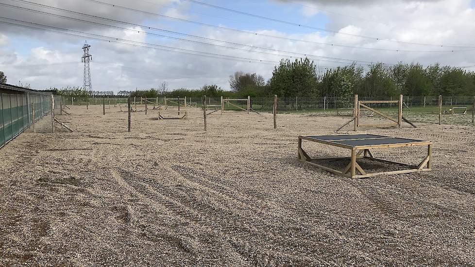 Kwetters liet de uitloop compleet draineren zodat de kans kleiner wordt dat er waterplassen in de uitloop komen te staan.