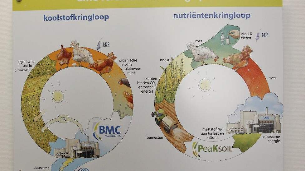 BMC verbindt twee kringlopen: de koolstof- en de nutriëntenkringloop. „Pluimveemest zit vol energie en mineralen. Het voordeel van deze manier van verwerken is dat er én groene elektriciteit wordt geproduceerd én dat mineralen zoals fosfor en kalium, waar