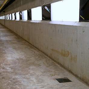 Aan één zijde van ieder stalgedeelte zitten putjes voor de afvoer van het water tijdens het schoonspuiten van de stal.