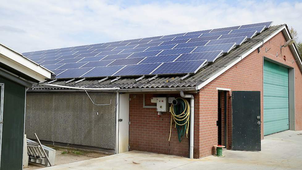 Op twee van de oude stallen liggen zonnepanelen. Dankzij de zonnepanelen en eigen installatie voor elektriciteitsproductie is Kuenen zelfvoorzienend voor elektriciteit. Bij zonnig weer levert hij aan het elektriciteitsnet. „Door de SDE subsidie ontvangen