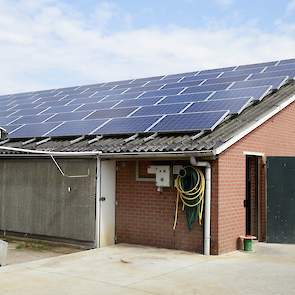 Op twee van de oude stallen liggen zonnepanelen. Dankzij de zonnepanelen en eigen installatie voor elektriciteitsproductie is Kuenen zelfvoorzienend voor elektriciteit. Bij zonnig weer levert hij aan het elektriciteitsnet. „Door de SDE subsidie ontvangen