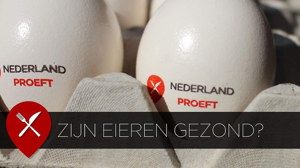 Zijn eieren gezond?