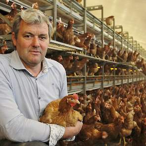 Wim Klaassen tussen de 21-weekse hennen in zijn nieuwste volièrestal uit 2012. Vlak voor de komst van de nieuwe hennen liet hij deze stal behandelen tegen bloedluizen. Ruim negen maanden geleden liet hij voor het eerst één van zijn volièrestallen behandel