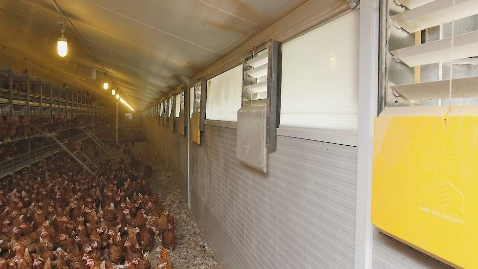 Al doet de pluimveehouder meer om bloedluizen te bestrijden. Zo spuit hij zijn stallen na iedere ronde met water schoon. Volgens hem is dit een belangrijke stap in het bestrijden van bloedluizen omdat de eitjes van de luizen hierdoor niet meer uitkomen. B