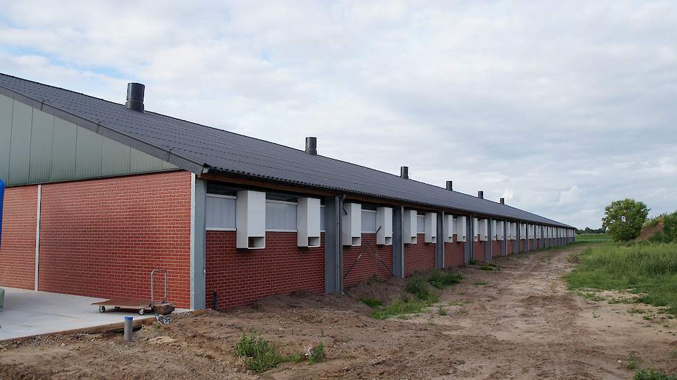 Zijaanzicht nieuwe stal. „De totale procedure voor nieuwbouw heeft vijf jaar geduurd. Het is hier een Landbouw Ontwikkelings Gebied maar de dialoog met provincie, burgers en gemeente duurde twee jaar", vertelde Peter Buts. De bouw duurde drie maanden. Bou