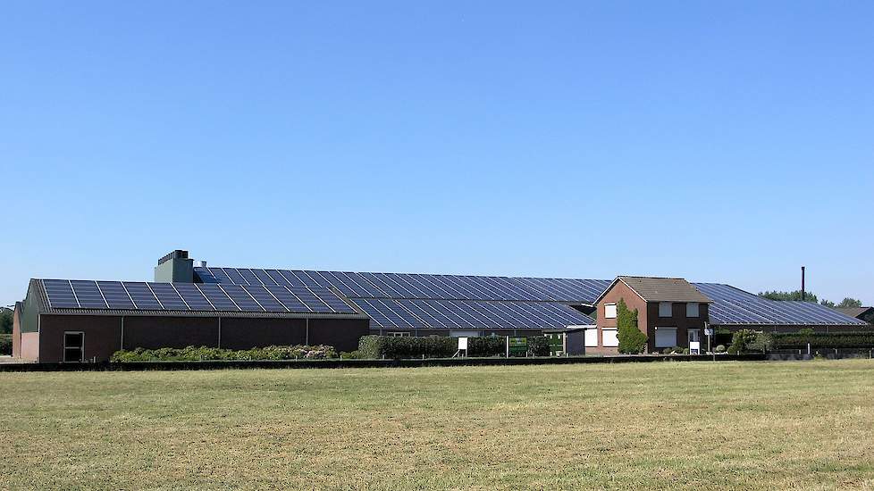 Het dak van de nieuwe stal ligt helemaal vol met zonnepanelen. Ook op de andere stallen en gebouwen liggen zonnepanelen. Peelen is voor driekwart zelfvoorzienend in stroomproductie. „Dankzij de subsidie is investeren in zonnepanelen interessant”, vertelt