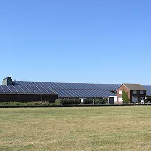 Het dak van de nieuwe stal ligt helemaal vol met zonnepanelen. Ook op de andere stallen en gebouwen liggen zonnepanelen. Peelen is voor driekwart zelfvoorzienend in stroomproductie. „Dankzij de subsidie is investeren in zonnepanelen interessant”, vertelt