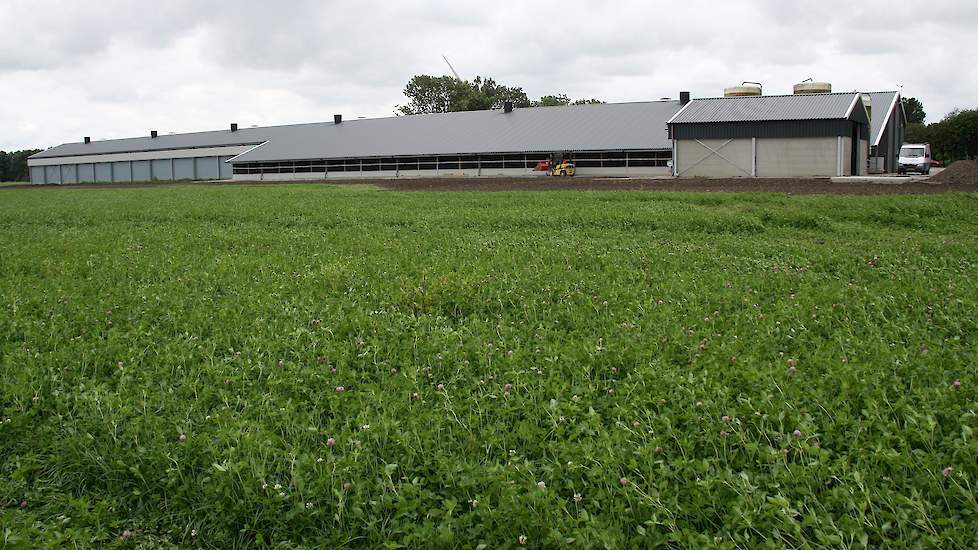 De stal is inclusief voorruimte 138 lang en 13 meter breed. Aan beide zijkanten van de stal zit een Wintergarten van ieder 6,5 meter breed. Daardoor heeft de stal een vreemde vorm. „Volgens de eisen mag de uitloop maximaal 350 meter van de stal verwijderd