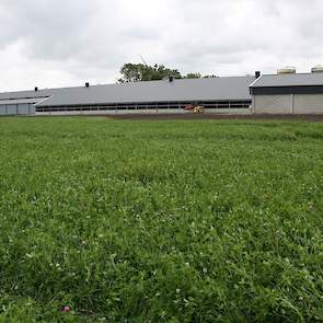 De stal is inclusief voorruimte 138 lang en 13 meter breed. Aan beide zijkanten van de stal zit een Wintergarten van ieder 6,5 meter breed. Daardoor heeft de stal een vreemde vorm. „Volgens de eisen mag de uitloop maximaal 350 meter van de stal verwijderd