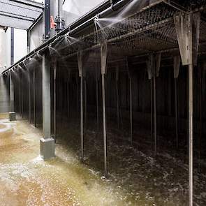 Op de vloer is een waterbad met zwavelzuur met ene pH van 4,0. Het stof valt neer en de lucht gaat daarna door het watergordijn en dan door het waspakket. De kosten van de luchtwasser bedragen € 0,55 per kuikenplaats.