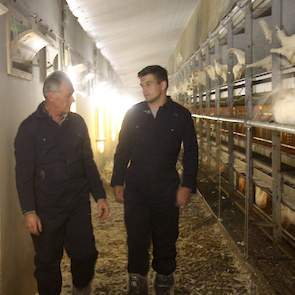 Samen met Paul Swennen, opfokbegeleider bij Vepymo, is Lander van Gestel een topduo. Ze lopen regelmatig samen door de stal; bekijken de kippen, het systeem, beoordelen het klimaat en overleggen over de resultaten.