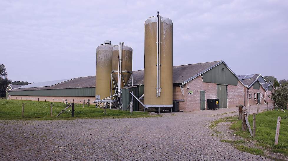 Een vooraanzicht van beide stallen. De mest van beide stallen wordt in een Rijvers droogtunnel uit 2000 na gedroogd tot circa 80 tot 85 procent droge stof en al bijna 14 jaar afgezet naar Ferm-o-Feed. Over de droogtunnel is Vonk te spreken. „Het onderhoud