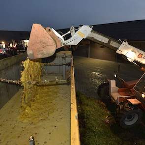 Kieft is één van de gedupeerde pluimveehouders door fipronil. „We hebben een keer voor het ruien en een keer na het ruien de eieren weg gegooid. Het ruien leverde niet het gewenste resultaat op. Dus hebben we onze kippen geruimd."