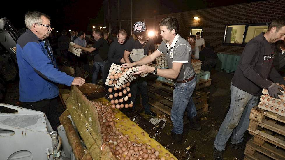 Kieft houdt in twee stallen in totaal 30.000 biologische leghennen. Eén stal voor 15.000 leghennen krijgt de familie half december weer vol. Voor de andere is er een hele klein kans dat die begin december weer gevuld is. Waarschijnlijk ontvangt de familie