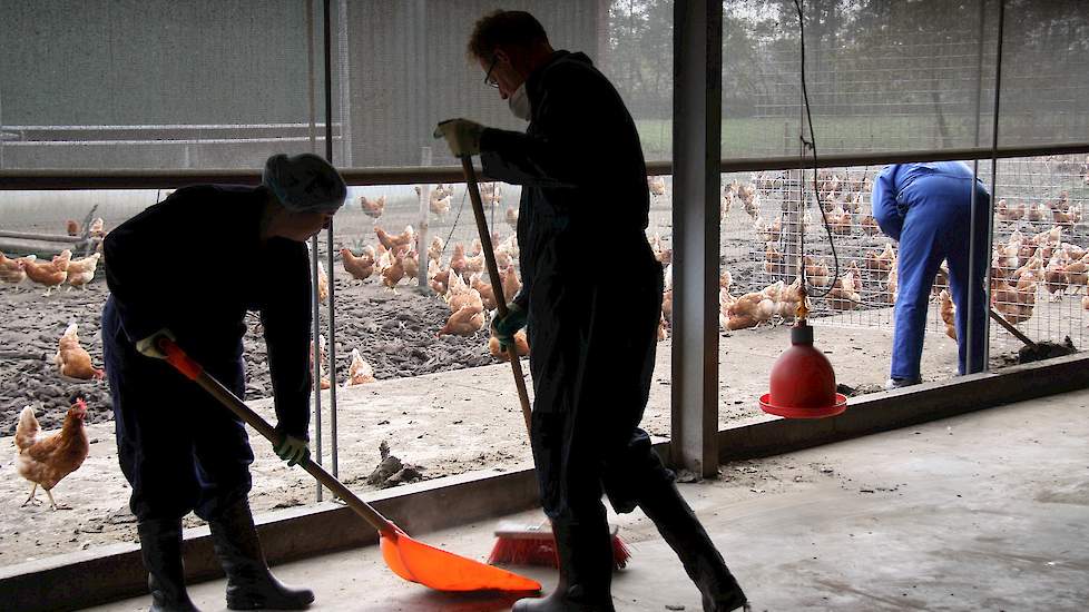 Lees de reportage over ‘Boenen bij de boeren’ aanstaande zaterdag 11 november in de regionale vakbladen Vee & Gewas en Agraaf.