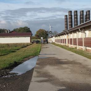 Lees de uitgebreide reportage over het bedrijf van Westerbeek in vakblad Pluimveeweb dat donderdag 14 december 2017 is verschenen.