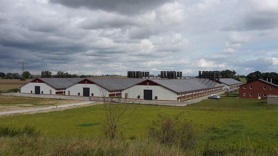 Op hun grootste locatie in Wilsickow ? op 700 kilometer vanaf hun huis in Wijster ? houden ze 300.000 vleeskuikens in zes identieke stallen.