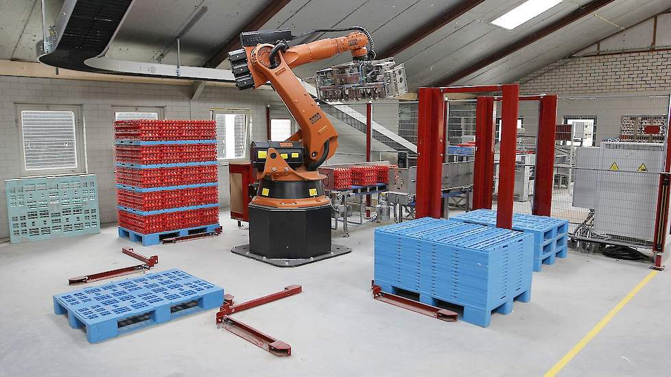 Lagerweij koos ook voor de volautomatische cobot palletizer voor de eieren  „Dankzij de cobot kan ik sneller werken en voorkom ik rugklachten. Doordat wij de eieren sorteren op gewicht voor ons eigen pakstation kan deze robot plastic en karton trays gelij