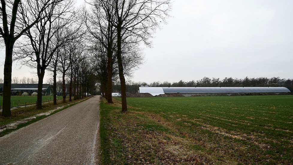 De stal staat aan de overkant van zijn bedrijf. „Rondom de melkveestal heb ik een huiskavel van 23 hectare. Aan de overkant heb ik ook nog 22 hectare. Om over voldoende grond voor de uitloop te beschikken, was het beter om de stal hier neer te zetten.” Ro