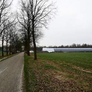 De stal staat aan de overkant van zijn bedrijf. „Rondom de melkveestal heb ik een huiskavel van 23 hectare. Aan de overkant heb ik ook nog 22 hectare. Om over voldoende grond voor de uitloop te beschikken, was het beter om de stal hier neer te zetten.” Ro