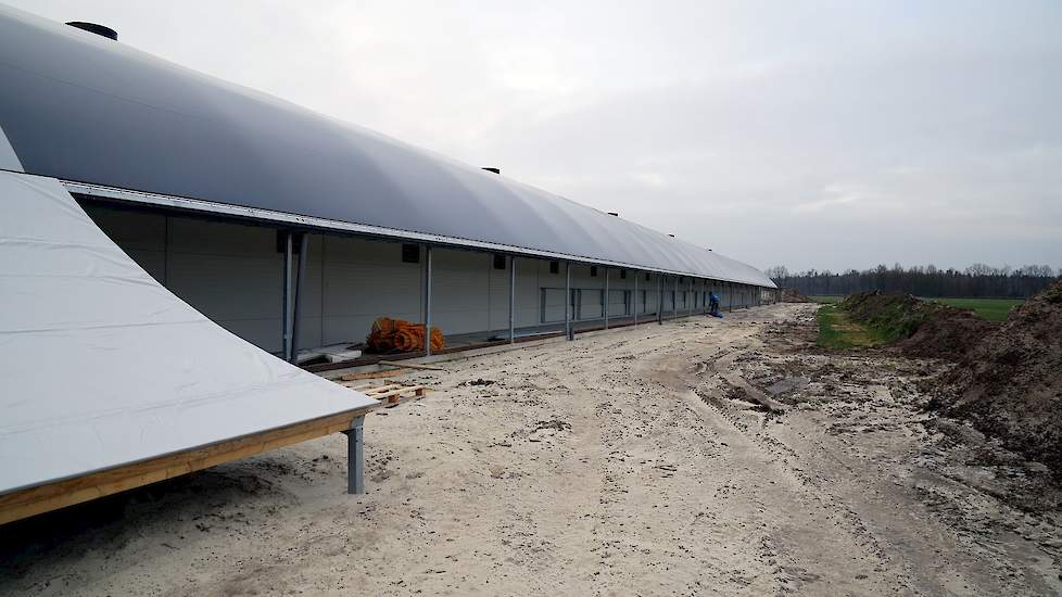 De uitloop moet dinsdag 9 januari, tijdens het maken van de foto’s, nog worden aangelegd. Brinke gaat vijf uitlopen aanleggen. Twee rechts van de stal, twee links en één achter de stal. „Elke afdeling is 20 meter lang, de eerste en de vierde afdeling krij