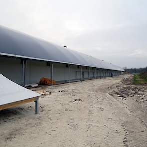 De uitloop moet dinsdag 9 januari, tijdens het maken van de foto’s, nog worden aangelegd. Brinke gaat vijf uitlopen aanleggen. Twee rechts van de stal, twee links en één achter de stal. „Elke afdeling is 20 meter lang, de eerste en de vierde afdeling krij