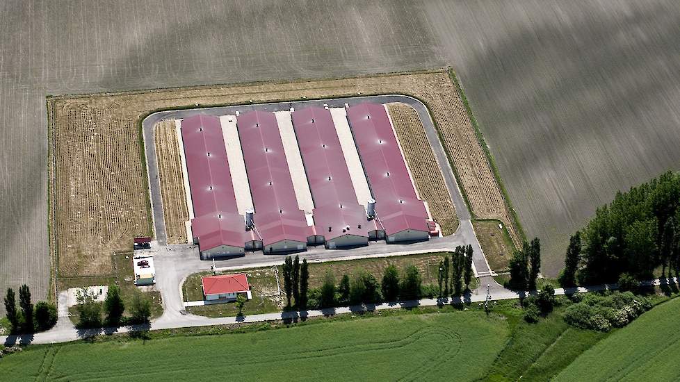 In 2010 bouwde Jacobs zijn tweede grootouderdierenbedrijf, 3 kilometer verderop in Zsejkepuszta. De familie verhuurt ook dit bedrijf aan Aviagen. Het bedrijf heeft evenals het grootouderdierenbedrijf in