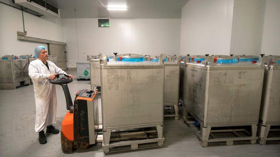 De gepasteuriseerde eindproducten kunnen in verschillende verpakkingsvormen worden afgevuld: 10 liter bag in box of bag in krat of in 1000 liter RVS containers of kunststof boxen of tankwagens. Alles wordt 100 procent gereinigd en gecontroleerd voor de vo