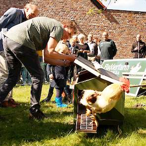 De opening vond ludiek plaats door een volwassen haan te bevrijden uit de minicaravan.  Zo zien de hanen eruit op de slachtleeftijd over  12 tot 16 weken.