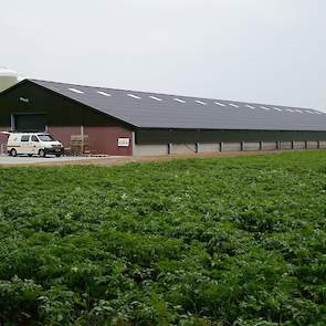 Vrijdagmiddag 15 juni hield de familie een open dag. Maandag 18 juni ontving Boertien de nieuwe kuikens. „We werken met een achtweekse planning.” De familie maakt zelf de stallen schoon en wil dit na de uitbreiding ook blijven doen. Alle mest gaat naar BM