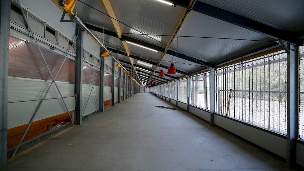 De koude uitloop oftewel wintergarten met geperforeerd damwand. De stal heeft natuurlijke ventilatie. De Scan Air inlaatkleppen sturen de inkomende lucht de stal in. Via de daglichtstraat krijgen de kippen in de stal extra daglicht. De koude uitloop is ni