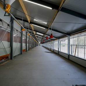 De koude uitloop oftewel wintergarten met geperforeerd damwand. De stal heeft natuurlijke ventilatie. De Scan Air inlaatkleppen sturen de inkomende lucht de stal in. Via de daglichtstraat krijgen de kippen in de stal extra daglicht. De koude uitloop is ni