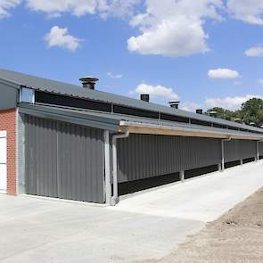 Tussen het dak van de stal en de overdekte uitloop zit een opstaande lichtstraat. „Bij veel stallen zit de lichtstraat in de muur tussen stal en overdekte uitloop en komt er via de lichtstraat indirect licht binnen. Bij ons komt direct zonlicht de stal in