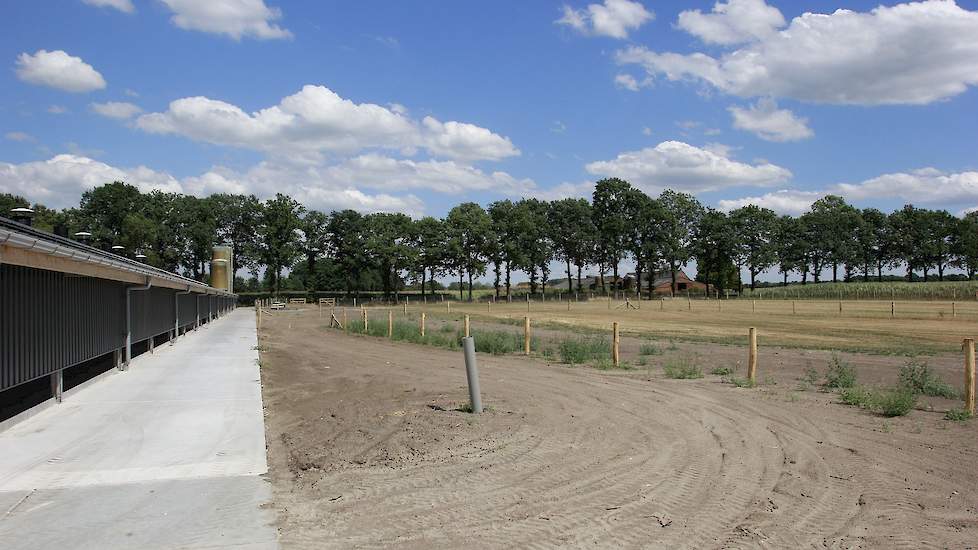 Langs de overdekte uitloop liet de familie een drie meter brede betonplaat storten. Het gaas van de afrastering is 1,5 hoog en zit 0,5 meter onder de grond om vossen tegen te houden.