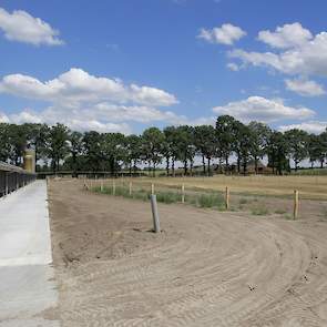 Langs de overdekte uitloop liet de familie een drie meter brede betonplaat storten. Het gaas van de afrastering is 1,5 hoog en zit 0,5 meter onder de grond om vossen tegen te houden.