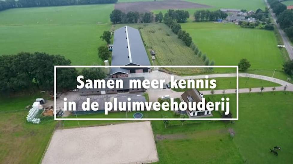 Samen meer kennis in de pluimveehouderij