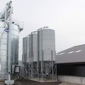 Mark gaat zijn eigen tarwe voeren aan zijn kuikens. Daarvoor heeft hij een graansilo van 250 ton voor de opslag van eigen graan laten plaatsen. Mark “Ik weet precies wat voor tarwe ik op het land heb staan en wat ik straks ga voeren aan mijn kuikens. De m