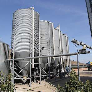 De kuikens worden gevoerd door Coppens Diervoeding. “Het is stikgoed voer”, vertelt René enthousiast. “We beginnen de ronde met ongeveer 40 gram startvoer per kuiken op het kuikenpapier. Na ongeveer 12 dagen schakelen we over naar de Groei 1, na 21 dagen