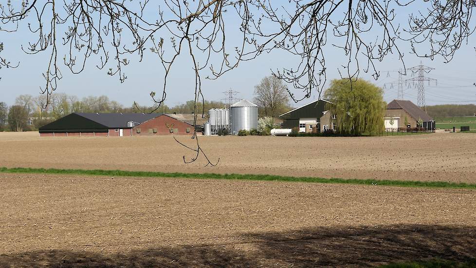 René: “In 1994 is de eerste vleeskuikenstal gebouwd door mijn ouders. In 2007 heb ik het bedrijf overgenomen en in 2016 hebben we de tweede stal gebouwd voor 38.000 kuikens. Daarnaast hebben we nog 62 hectare akkerbouw.”